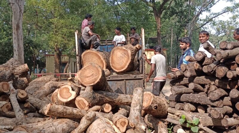 গাছ উদ্ধার করল বনদপ্তর