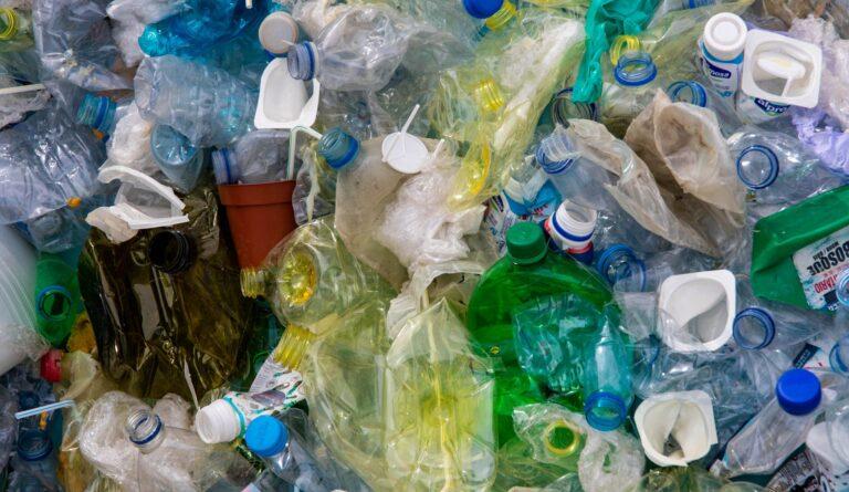 close up photo of plastic bottles