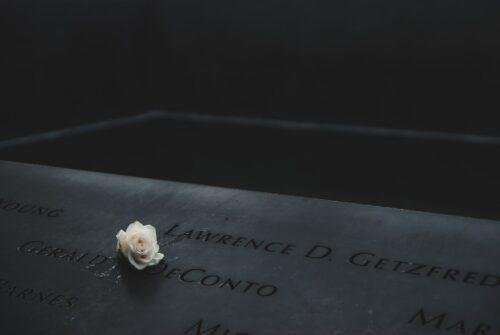 a rose flower over memorial marker