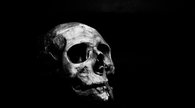 grayscale photography of human skull