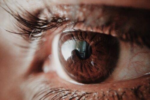 brown human eye