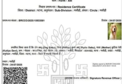 কুকুরেরও হল আবাসিক শংসাপত্র’ এও কি বাকি ছিল নির্বাচনের আগে প্রশ্নের মুখে বিহার সরকার