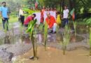 দুর্গাপুরে বেহাল দশা রাস্তার, প্রতিবাদে ধানের চারা পুঁতে বিক্ষোভ বিজেপির