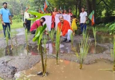দুর্গাপুরে বেহাল দশা রাস্তার, প্রতিবাদে ধানের চারা পুঁতে বিক্ষোভ বিজেপির