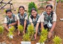 सेंट जेवियर्स हाई स्कूल परिसर में लगाए पौधे, लिया संरक्षण का संकल्प