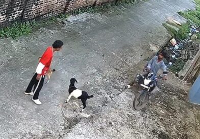 ছাগল চুরির CCTV ফুটেজ ভাইরাল, হাতেনাতে ধরা পড়লো ২ চোর