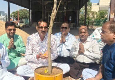 होलिका दहन हेतु डाणडा रोपण की पूजा