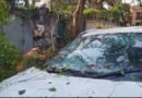 দুর্গাপুরে কালবৈশাখীর দাপটে জনজীবন বিপর্যস্ত, ভেঙে পড়লো গাছ