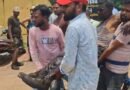 ईसीएल की खदान में बड़ा हादसा, एक की मौत, कई मजदूर घायल