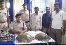 উত্তরপ্রদেশ থেকে বাংলায় পাচারের ছক  পানাগড়ে ট্রেন থেকে উদ্ধার দুটি বিরল প্রজাতির কচ্ছপ, ধৃত ১