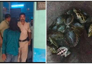 पूर्वा एक्सप्रेस से 95 कछुओं के साथ युवक गिरफ्तार