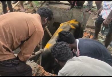 অন্ডালে চৌবাচ্চায় বিশালাকার ষাঁড় পড়ে বিপত্তি  উদ্ধারে বিজেপি কর্মীরা