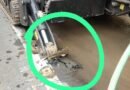 সরকারি নিয়মকে বুড়ো আঙুল! সালানপুরে নতুন রাস্তা নষ্ট করে বেসরকারি সংস্থার কেবল বসানোর অভিযোগ, পুলিশ পাঠিয়ে কাজ বন্ধ প্রশাসনের সরকারি নিয়মকে বুড়ো আঙুল! সালানপুরে নতুন রাস্তা নষ্ট করে বেসরকারি সংস্থার কেবল বসানোর অভিযোগ, পুলিশ পাঠিয়ে কাজ বন্ধ প্রশাসনের