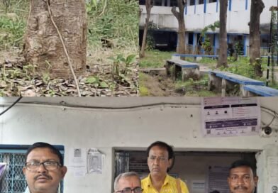 আসানসোলে বেঙ্গল হোমিওপ্যাথি কলেজে সবুজ ধ্বংস নিয়ে সরব সমাজকর্মীরা ৪২ টি দামী গাছ কাটা নিয়ে থানা ও বন দপ্তরে অভিযোগ